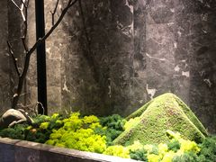 -麻路成都火锅(柏威年店)