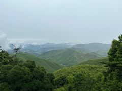 -莫干山风景区