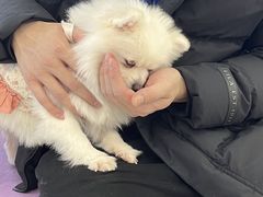 -怪兽屋·羊驼·猫咖·狗咖(俊华广场店)