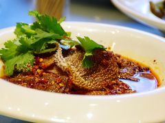 红油黑毛肚-香阁餐厅·常州菜·常州菜代表品牌(新北奥体店)