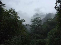 -黄山风景区