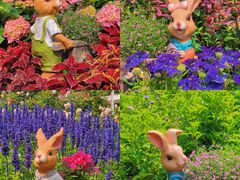 -人民公园(罗湖区)