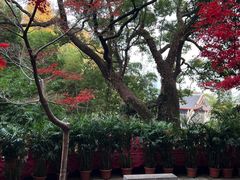 -岳麓山风景名胜区