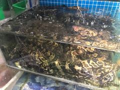 -范饭椰林川湘味海鲜·椰子鸡(三亚湾椰梦长廊店)