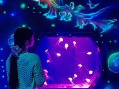 -沈阳海洋探索中心