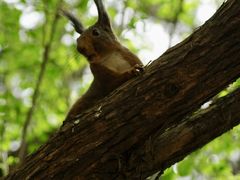 -颐和园