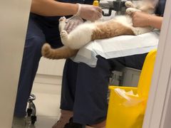 -福州肆爪动物医院
