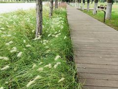 -汉长安城未央宫国家考古遗址公园