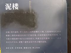 -碧江金楼