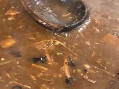 -穆彦华逍遥镇胡辣汤(岗坡路店)