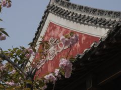 -长春观