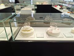 -BLACKSWAN黑天鹅(环球店)