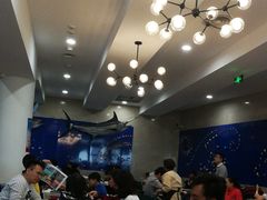 -贝林大翅鲸简餐厅(国家海洋博物馆店)