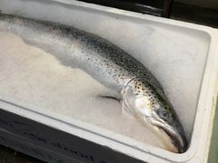 -新享乐海鲜(翠华路店)