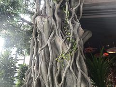 -悦隆庄温泉度假酒店