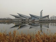 -盐城丹顶鹤湿地生态旅游区