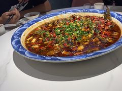 -新概念来凤鱼(璧山店)