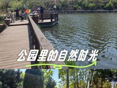 -前关湿地公园