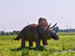 -嘉北郊野公园
