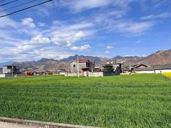 -宋记冕宁土菜馆(海门渔村二店)