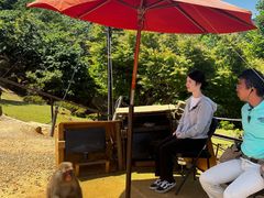 -岚山猴子公园
