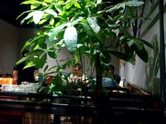 -醉炫音速烧烤·干煸菜(沙河总店)