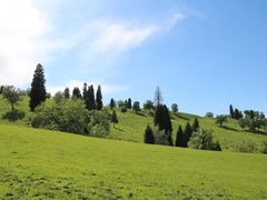 -新疆那拉提国家旅游度假区