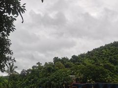 -西双版纳原始森林公园