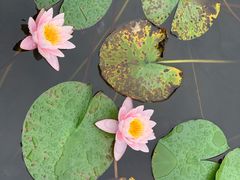 -昆山城市生态森林公园