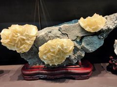 -游龙石文化科普馆