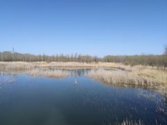 -野鸭湖国家湿地公园