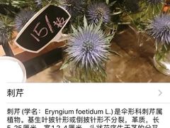 -豆豆花艺(新光天地店)