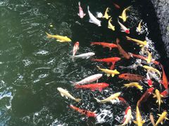 -海南文笔峰盘古文化旅游区