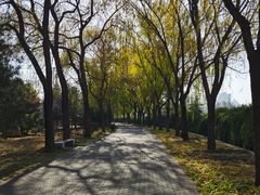 -洛阳市隋唐城遗址植物园