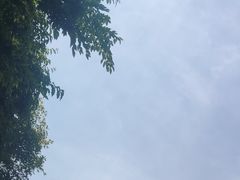-神农山景区