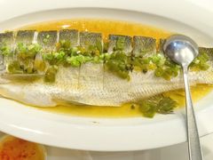 鲜花椒蒸大白鱼-万龙洲海鲜(阜外店)