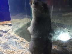 -白鹿仓冰雪海洋世界