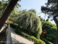 -郑和公园