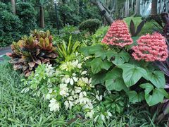 -深圳国际园林花卉博览园