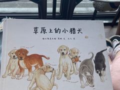 -安吉涵田度假村·龙倚楼咖啡厅