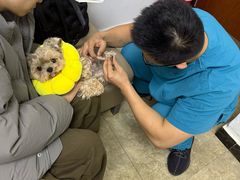 -美联众合动物医院·24h转诊中心