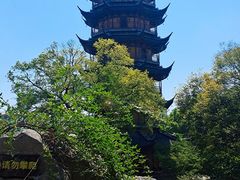 -红梅公园