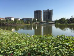 -西海子公园