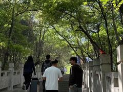 -抱犊寨风景区