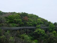 -福道