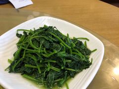 -台北楚楚园馅饼粥(虹桥南丰城店)