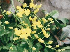 -北京植物园-展览温室