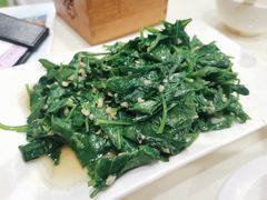 清炒革命菜-南海渔家•海鲜•正宗海南菜(海棠湾店)
