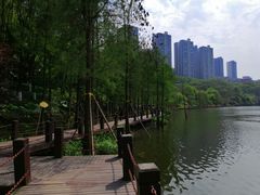 -重庆彩云湖湿地公园