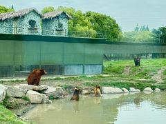 -上海野生动物园